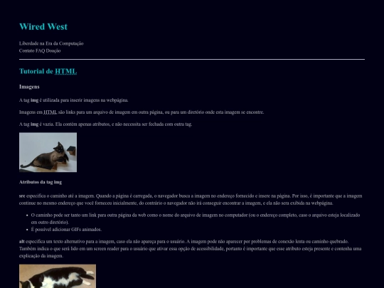 tutorial_html/imagens screenshot