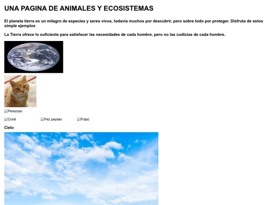 ejercicio5 screenshot