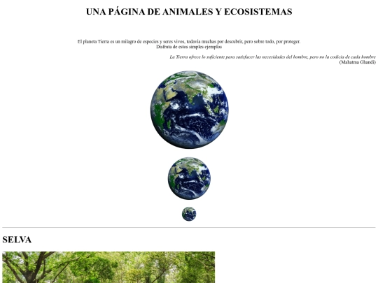 Curso 23-24/ejercicio05 screenshot