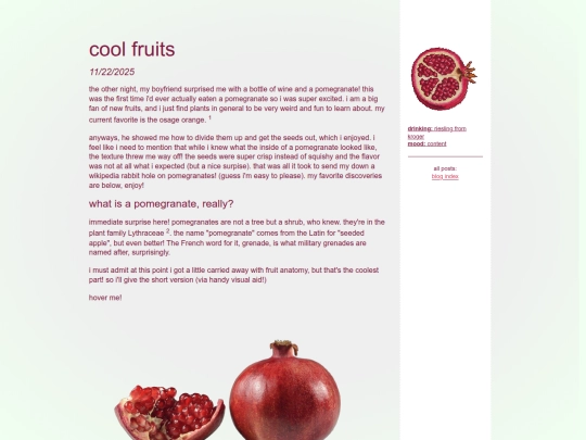 blog/basic screenshot