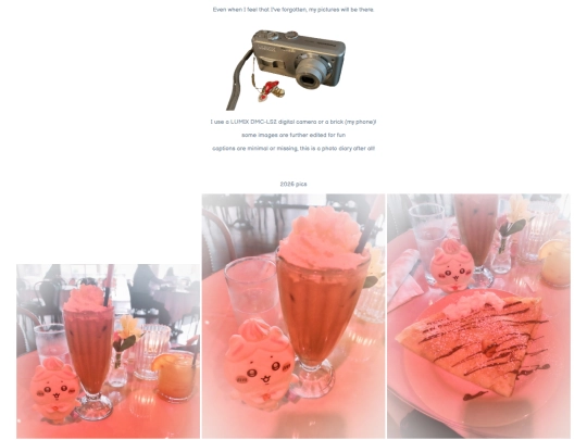 blog/photolog screenshot