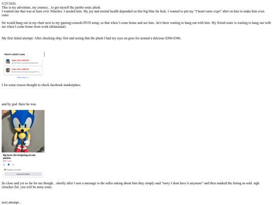 writing/sonicquest screenshot
