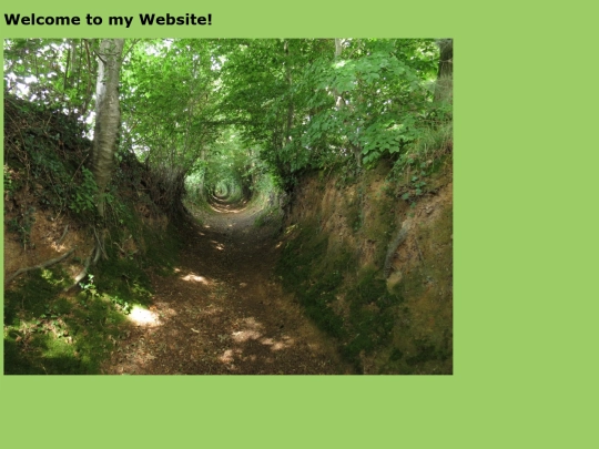 LabyrinthWiki/RestOfTheWorld/IlexiForest/ilexi-forest-home screenshot