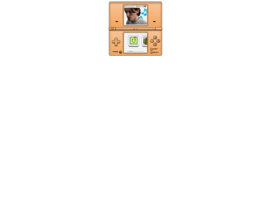 ds screenshot