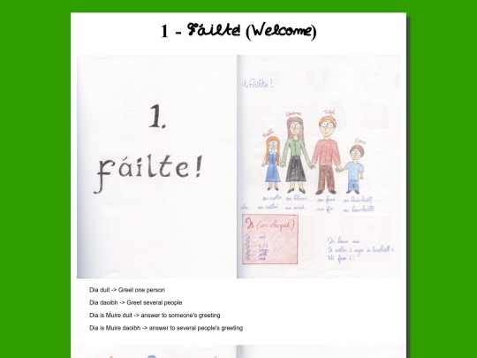 english/language/failte screenshot