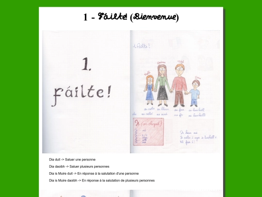 francais/langue/failte screenshot