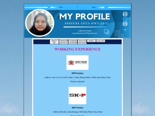 Working Experience screenshot