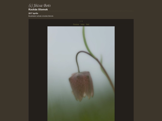 2017KockasLiliom/content/_DSC2201-Edit_large screenshot