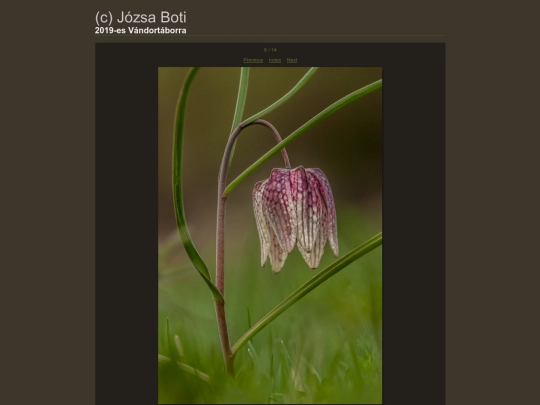 Vandortaborra/content/_DSC2183_large screenshot