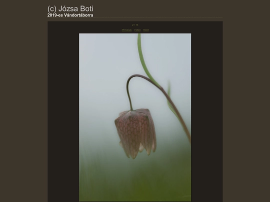 Vandortaborra/content/_DSC2201_large screenshot