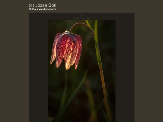 Vandortaborra/content/_DSC2233-Edit_large screenshot