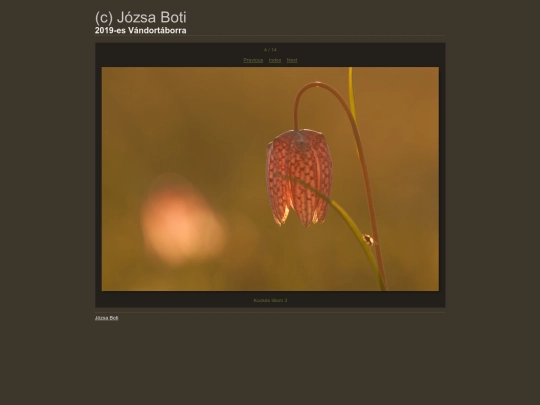 Vandortaborra/content/_DSC2245_large screenshot
