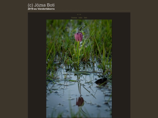 Vandortaborra/content/_DSC2259_large screenshot