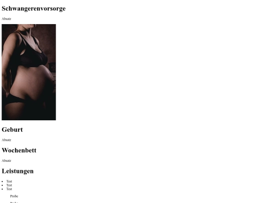 MeineWebsite screenshot