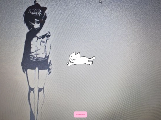 secret screenshot