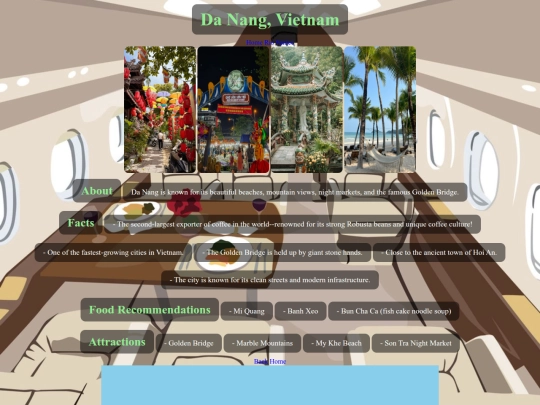 Travel Museum/danang screenshot