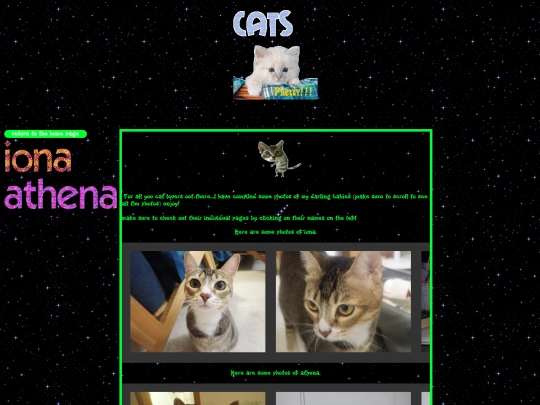 cats screenshot