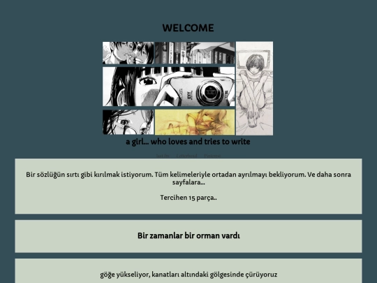yazilarim/bir-zamanlar-bir-orman-vardi screenshot