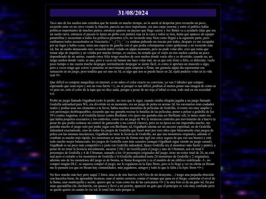 diario/2024-08-31 screenshot