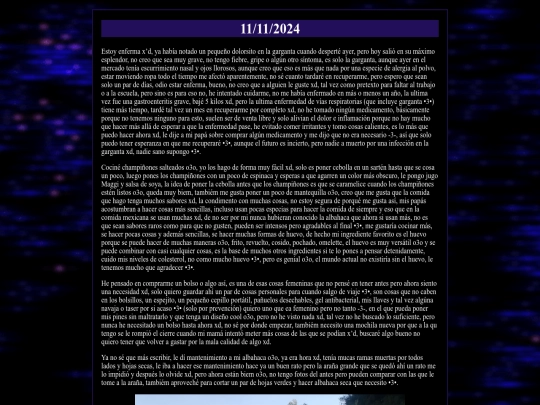 diario/2024-11-11 screenshot