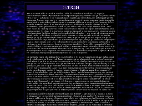 diario/2024-11-14 screenshot