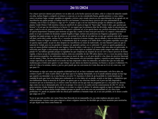 diario/2024-11-26 screenshot