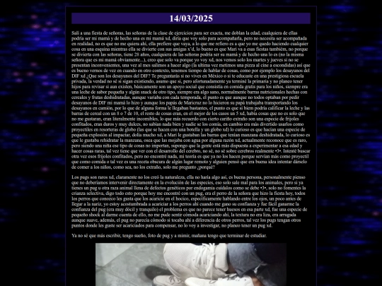 diario/2025-03-14 screenshot