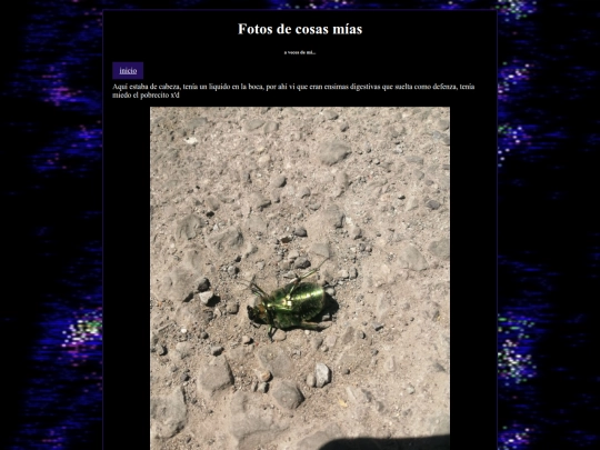 fotos/26 screenshot