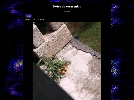 fotos/3 screenshot