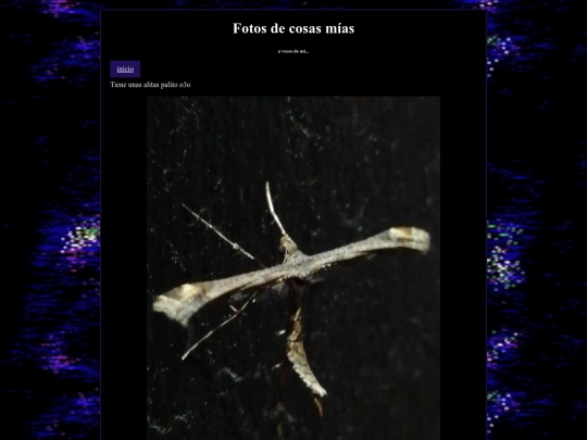 fotos/6 screenshot