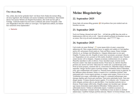 diary screenshot