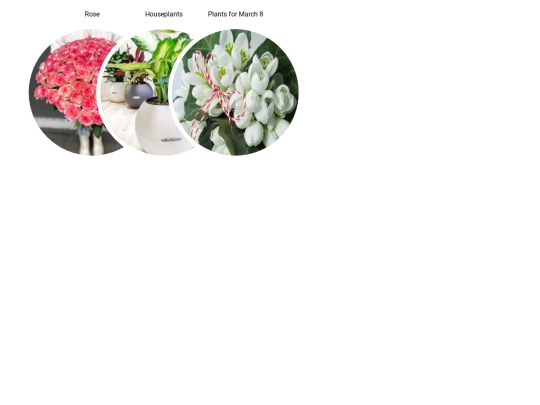 Flowers/Pie_menus-main_2 screenshot