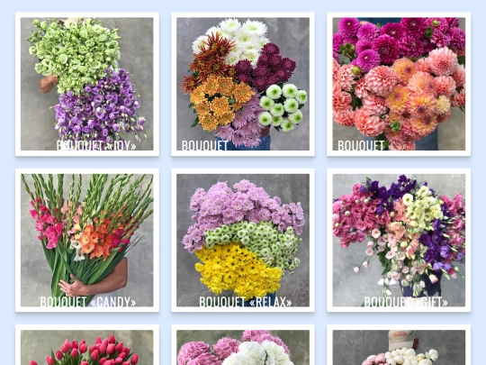 Flowers/index_15 screenshot