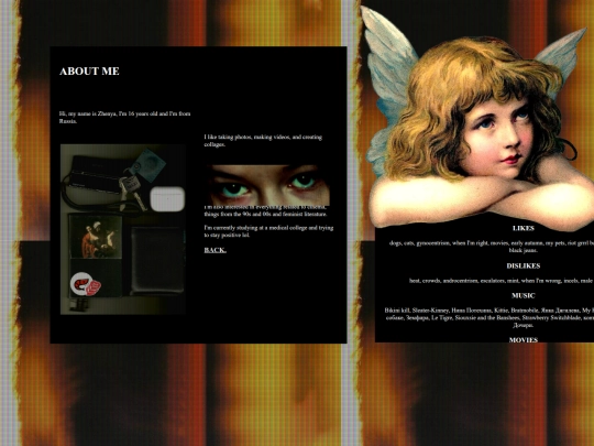 aboutme screenshot
