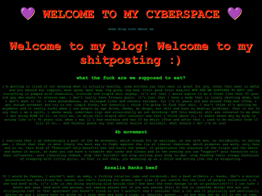 blog screenshot