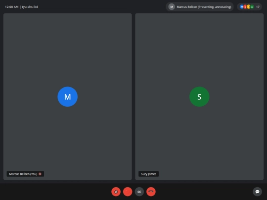 google-meet screenshot