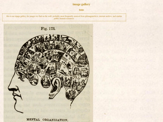 gallery screenshot