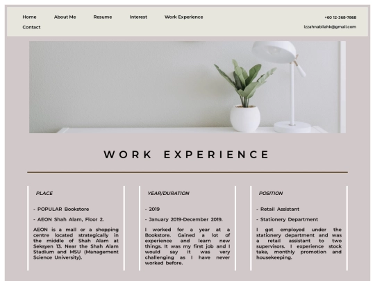 WorkExperience screenshot