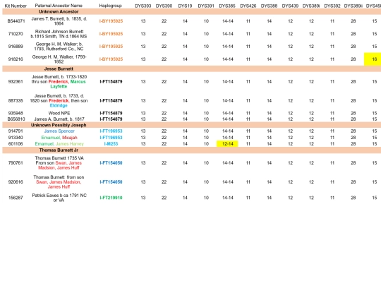Male_YDNA_Test_Results screenshot
