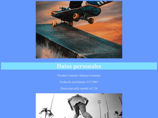 proyecto1/curriculum screenshot
