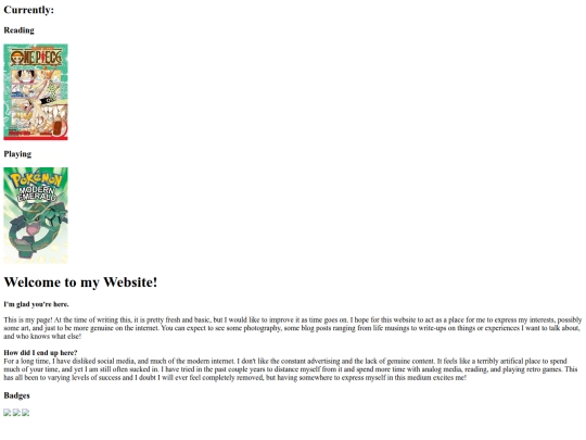 pages/home screenshot