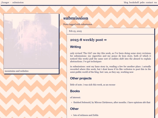 tags/submission screenshot