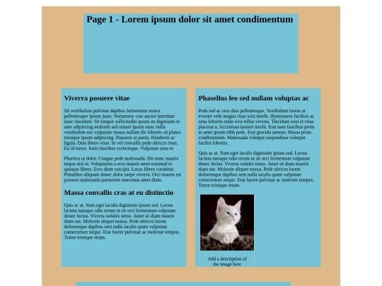 DivsInternalStyleSheet screenshot