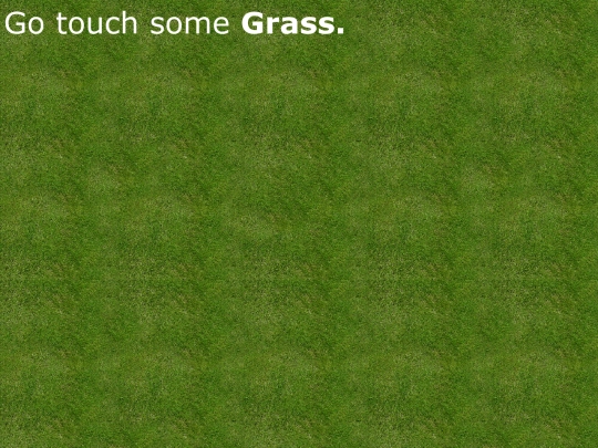 grass screenshot