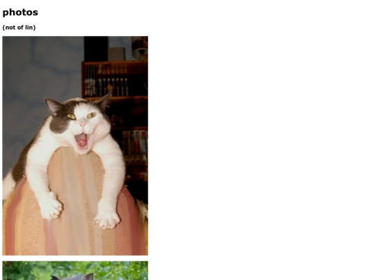 photos screenshot