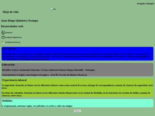 Hoja de vida/Curriculum screenshot