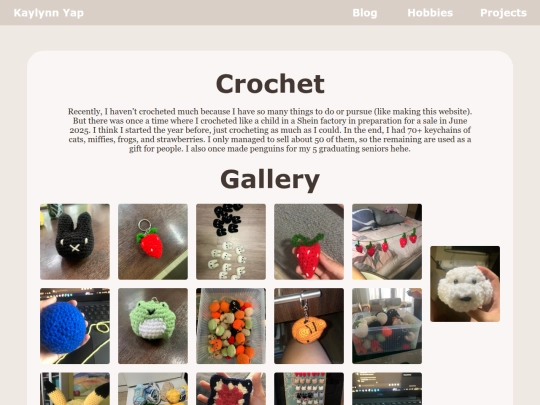 crochet screenshot