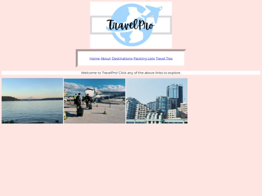 TravelPro screenshot