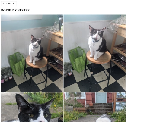 roxiechester screenshot