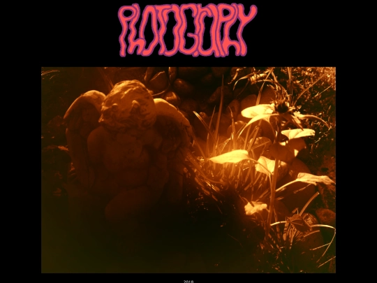 photography screenshot